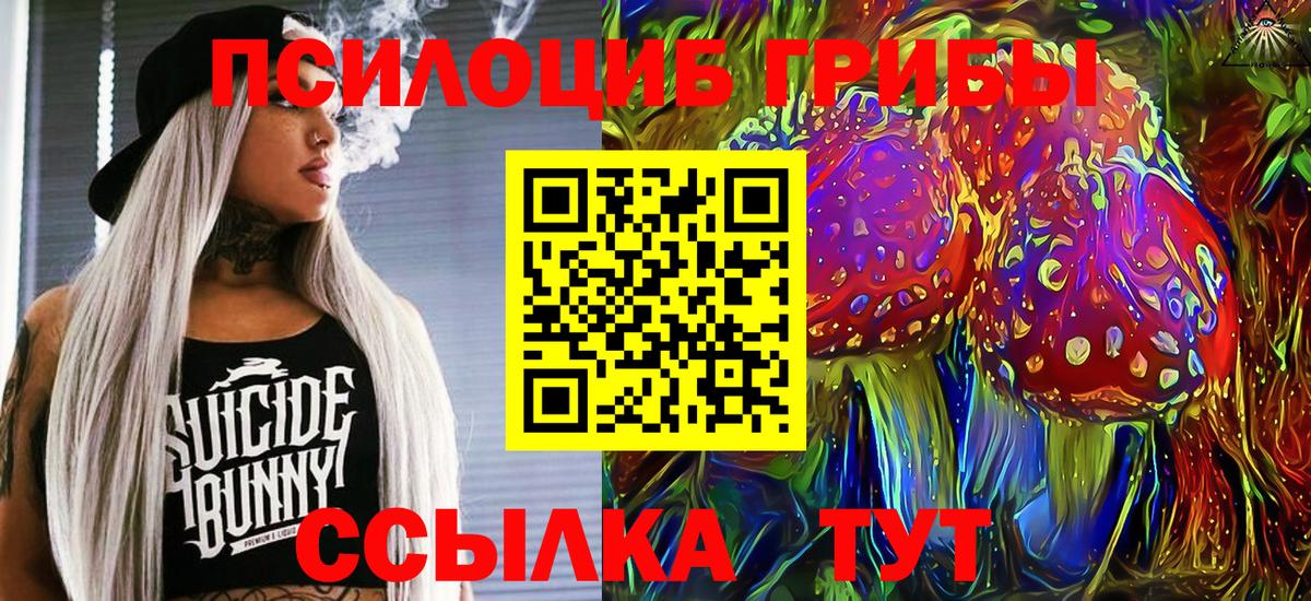 Галлюциногенные грибы мухоморы  Вход с VPN  Гулькевичи 